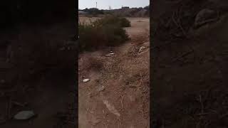 Download lagu INILAH LOKASI PERANG BADAR #shorts mp3