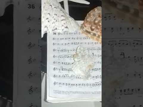 TU SI' NA'  SANTA poesia di Roberto Bracco   . Voce: Cira Scoppa - info 3331300364