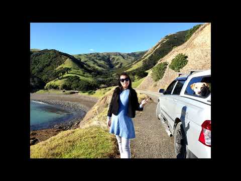 Coromandel 1 day trip Fletcher bay