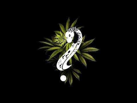 NELI THGOD - Ma Poti Ajuta? 🐍👁 (Official Audio)