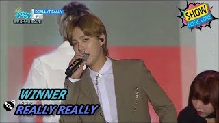 [HOT] WINNER - REALLY REALLY, 위너 - 릴리릴리 Show Music core 20170729