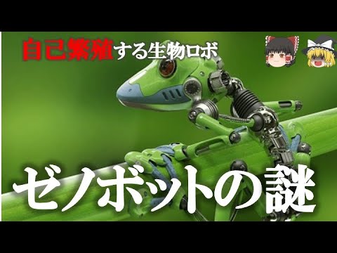 ロボプテラについて詳しく解説