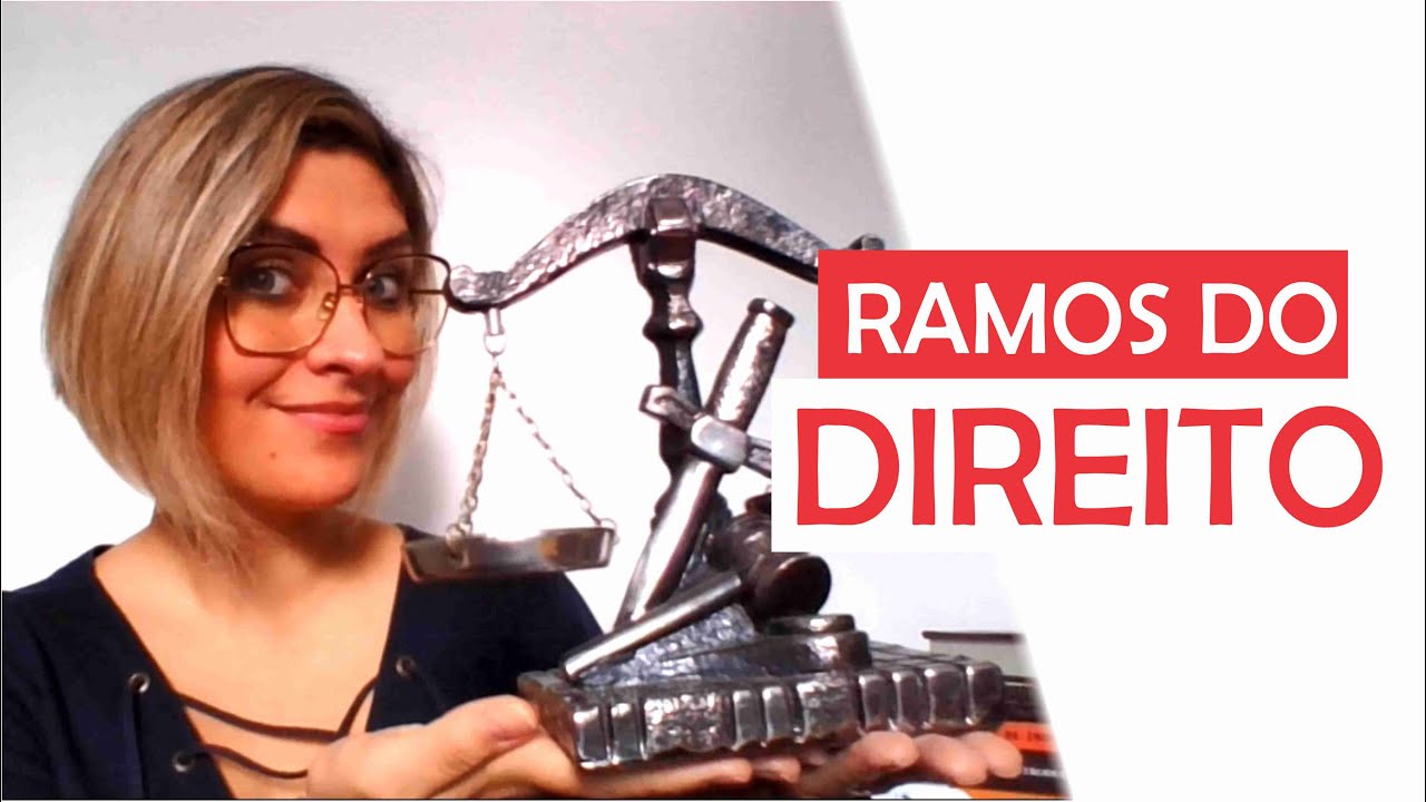 Ramos do Direito e dicotomia do Direito Público e Privado  - Prof. Fran Descomplicando o Direito
