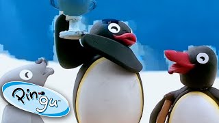 Pingu in Paradise | Pingu Official | Cartoons for Kids
