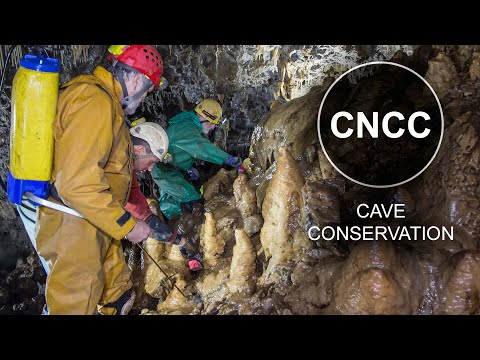 Crackpot Cave Clean-up