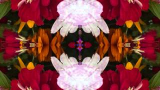 unforgiven (by the Bap Kennedy Trio live in Italy, 2014)