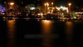 Elvis Costello - When I Was Cruel