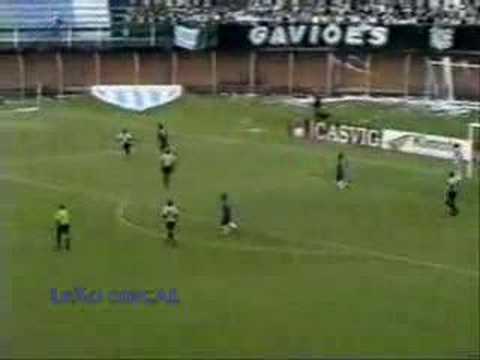 Avaí 1 x 0 Figueirense (Gol Mil) (Leão Metal)