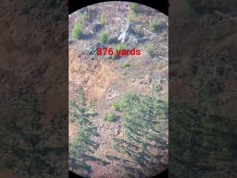 Seekins vs. Fierce | Bolt-Action Rifle Comparison