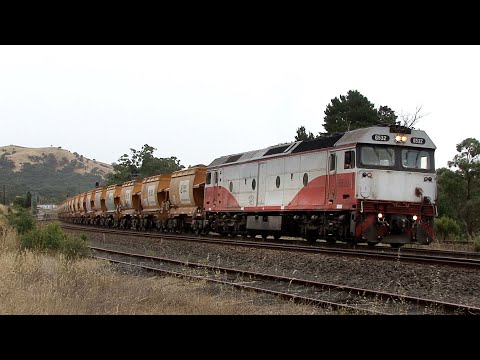 Rail Action around Kilmore East and Broadford: Australian Trains