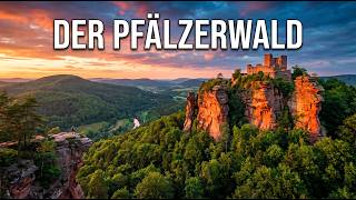 Deutschlands größter Wald: Die ganze Wahrheit über den Pfälzerwald | Doku