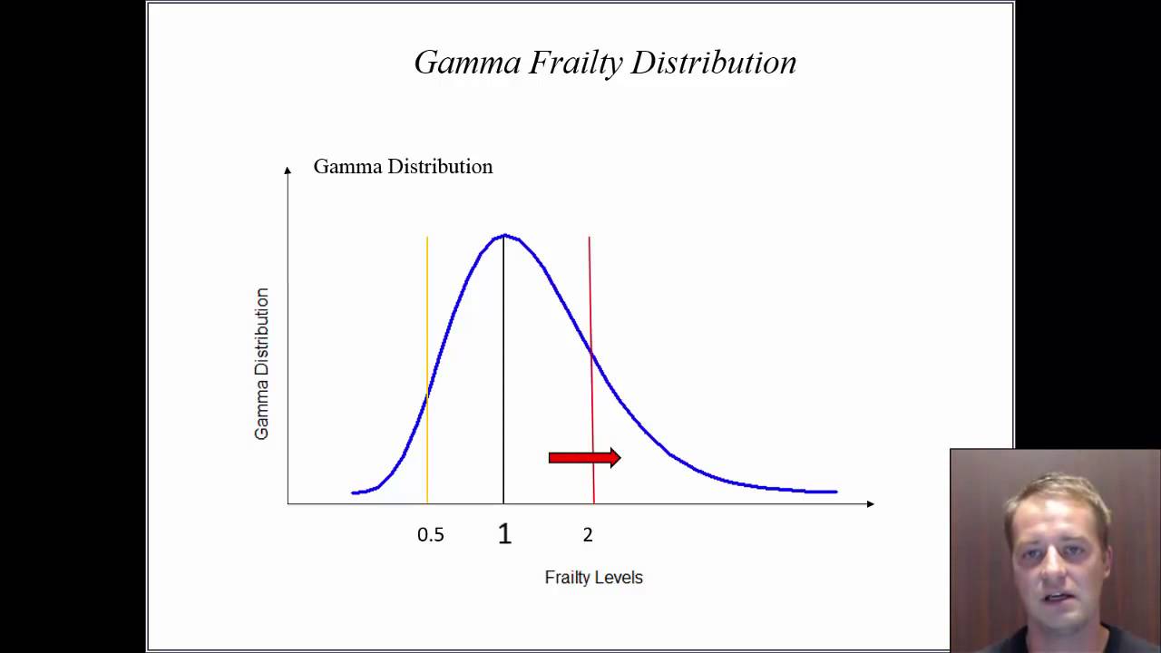 20 Gamma Gompertz frailty model by M  Voigt
