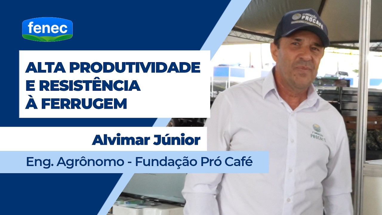 Produtores buscam cultivares de café com resistência à ferrugem e alta produtividade