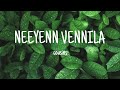 NEEYEN VENNILA COUSINS MOVIE LYRICS