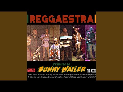 The Reggaestra