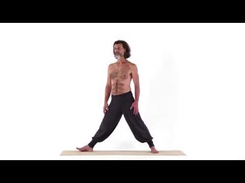 Winkelhaltung 2 - Parshva Uttana Asana