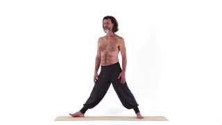 WINKELHALTUNG 2 – PARSHVA UTTANA ASANA