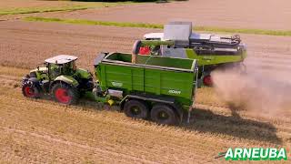 Western WF20GR grain cart for sale - Image 4 | Agroline MY New Western WF20GR grain cart | Image 4 - Agroline