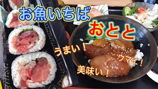 【三重県尾鷲市】おととが最高すぎました！おまけはウミガメ！