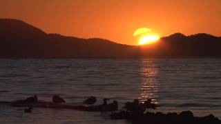 4 Earth (Teaser) Dean & Dudley Evenson