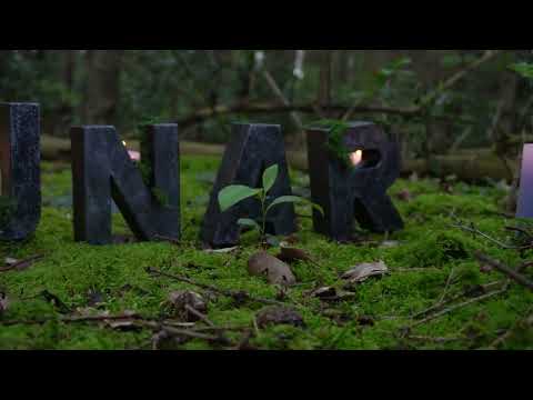 Solarcycles TALKS #1 - The New Era Begins Today!