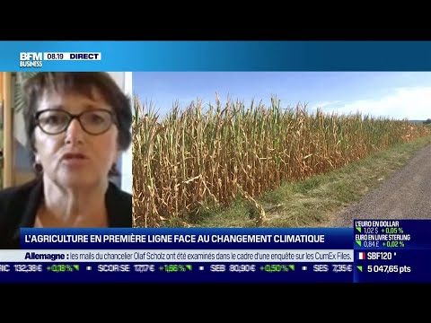 Christiane Lambert (FNSEA) : L'agriculture en première ligne face au changement climatique