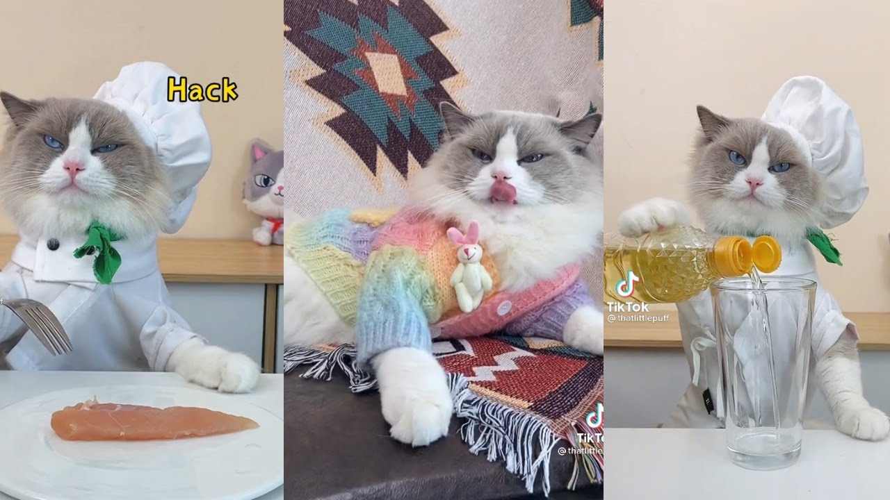 Most Liked Tiktoks 2022