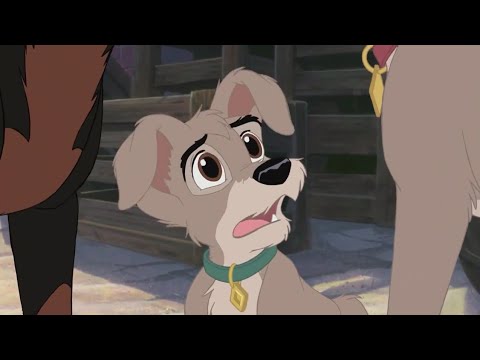 Scamp Turns on his Dad - Lady and the Tramp 2 Scamp Adventure HD