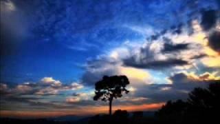 Mercy Mercedes - Shiver Me Timbers