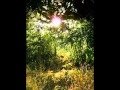 Dubliners: Dancing at Whitsun ( Paddy Reilly lead vocal)