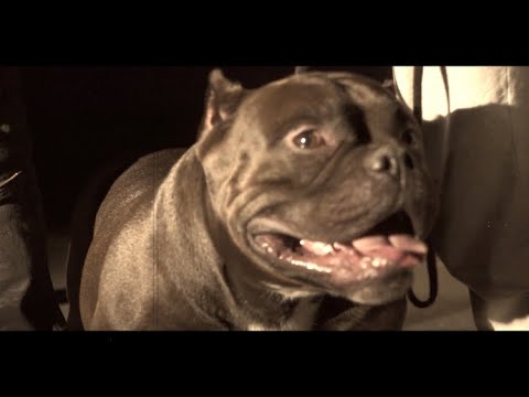 SUSHIGANG x LIL KWON “WARZONE” A T-savage Film