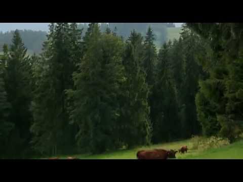 Dotacje dla wsi - Wsparcie ONW