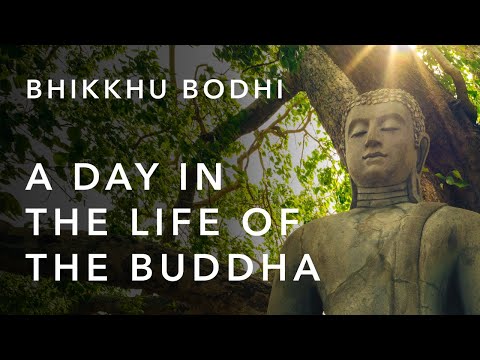 A Day in the Life of the Buddha | Bhikkhu Bodhi
