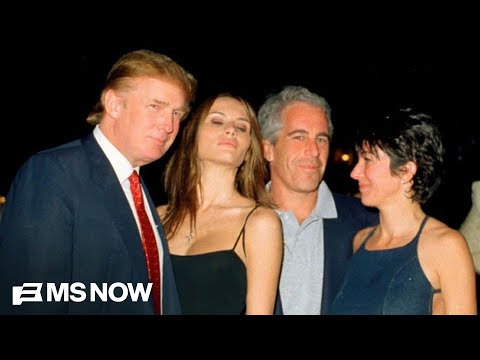 If Hillary Clinton testified over Epstein should Melania Trump? 