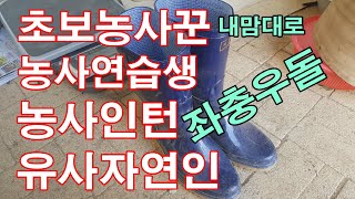 60대 초보농부 탄생 환영