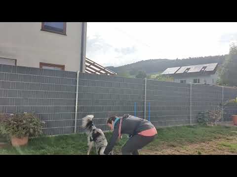 8 Oktober 22 ..es macht Fortschritte😀