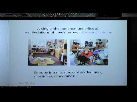 The Origin of the Universe and the Arrow of Time  by Sean M. Carroll