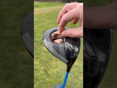 How to Hit a Golf Ball Further #golf #golfshot #golftechnique
