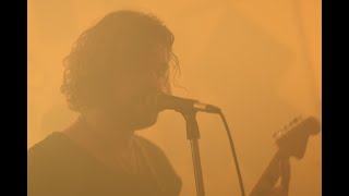 The Hollow Roots - Criminal Tour Video