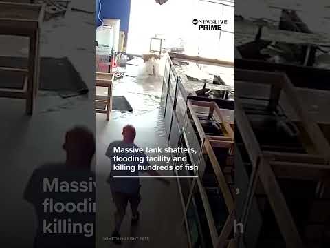 Massive fish tank shatters in Chicago