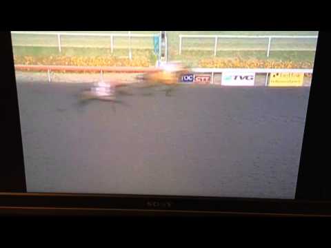 Shared Belief wins 2013 CASHCALL FUTURITY