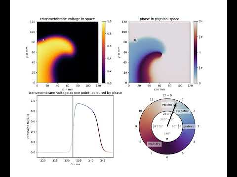 A different perspective: Using phase to describe excitable media