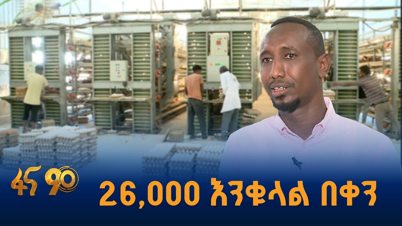በትንሽ ቦታ ብዙ ዶሮ የያዘ…