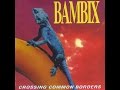 Bambix - The Girl Who Had The Blues