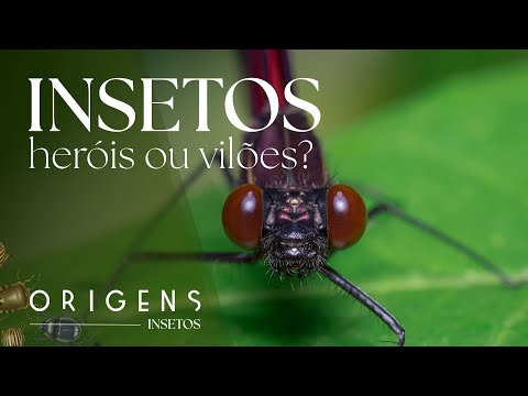 Documentary: Do insects transmit diseases? Heroes or villains? | Little Giants – Ep. 2 | ORIGINS