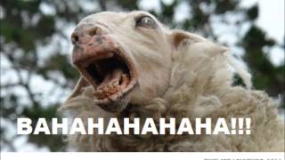 Punk goes pop. Super bass. drunk drum cover!