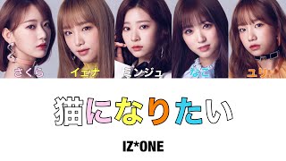[日本語字幕・カナルビ]猫になりたい／IZ*ONE(アイズワン)