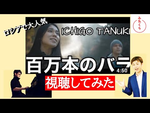 ICHIGO TANUKI「百万本のバラ」視聴してみた Я смотрел[Миллион алых роз]