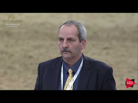 N.263 NAYEF UMM ALUDHAM - 2019 Qatar Individuals - Stallions 4 to 6 Years Old (Class 10A) .mp4