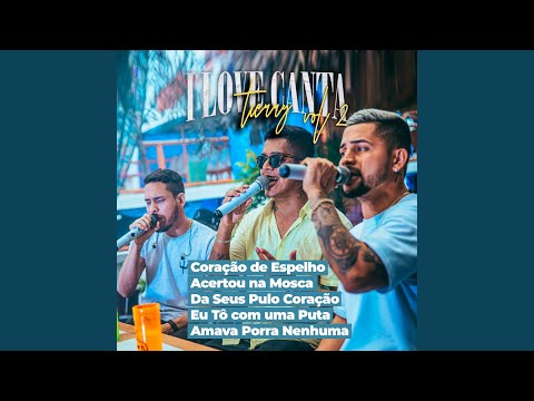 Acertou na Mosca (Cover)